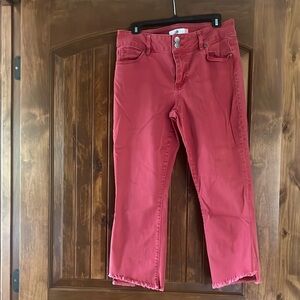 CAbi red jean
